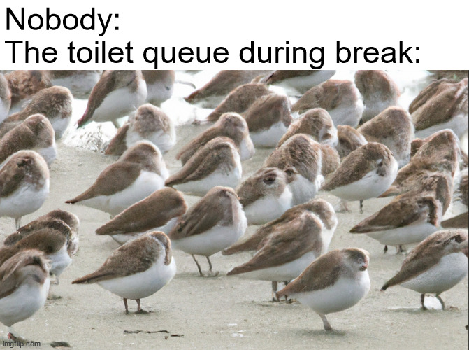 Nobody:
The toilet queue during break: | made w/ Imgflip meme maker