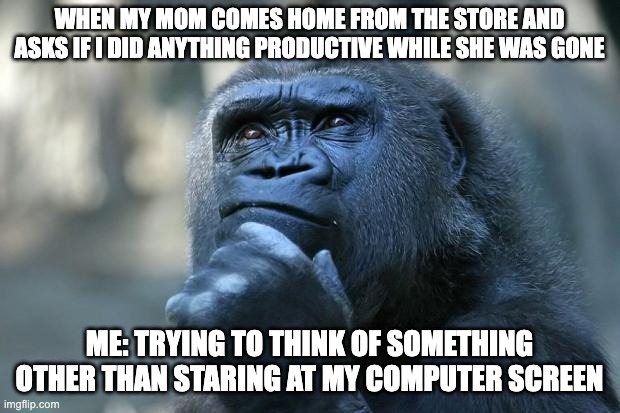 Deep Thoughts | WHEN MY MOM COMES HOME FROM THE STORE AND ASKS IF I DID ANYTHING PRODUCTIVE WHILE SHE WAS GONE; ME: TRYING TO THINK OF SOMETHING OTHER THAN STARING AT MY COMPUTER SCREEN | image tagged in deep thoughts | made w/ Imgflip meme maker