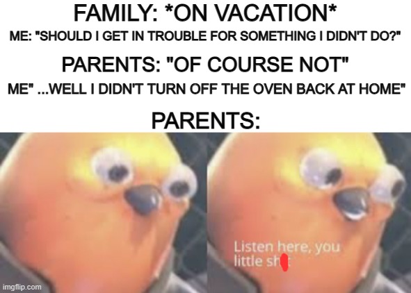 o7 | FAMILY: *ON VACATION*; ME: "SHOULD I GET IN TROUBLE FOR SOMETHING I DIDN'T DO?"; PARENTS: "OF COURSE NOT"; ME" ...WELL I DIDN'T TURN OFF THE OVEN BACK AT HOME"; PARENTS: | image tagged in blank white template,listen here you little shit bird | made w/ Imgflip meme maker