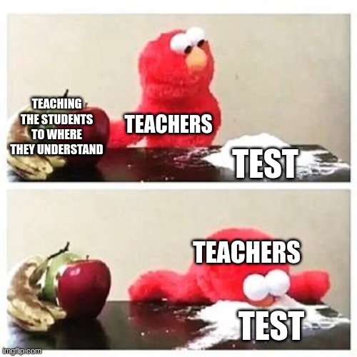 Why do you do this to us?! | TEACHING THE STUDENTS TO WHERE THEY UNDERSTAND; TEACHERS; TEST; TEACHERS; TEST | image tagged in elmo cocaine,teachers | made w/ Imgflip meme maker