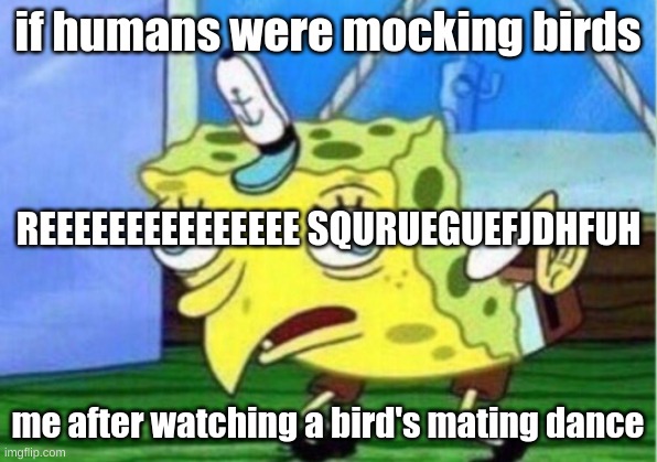 anyways, another random meme | if humans were mocking birds; REEEEEEEEEEEEEEE SQURUEGUEFJDHFUH; me after watching a bird's mating dance | image tagged in memes,mocking spongebob | made w/ Imgflip meme maker