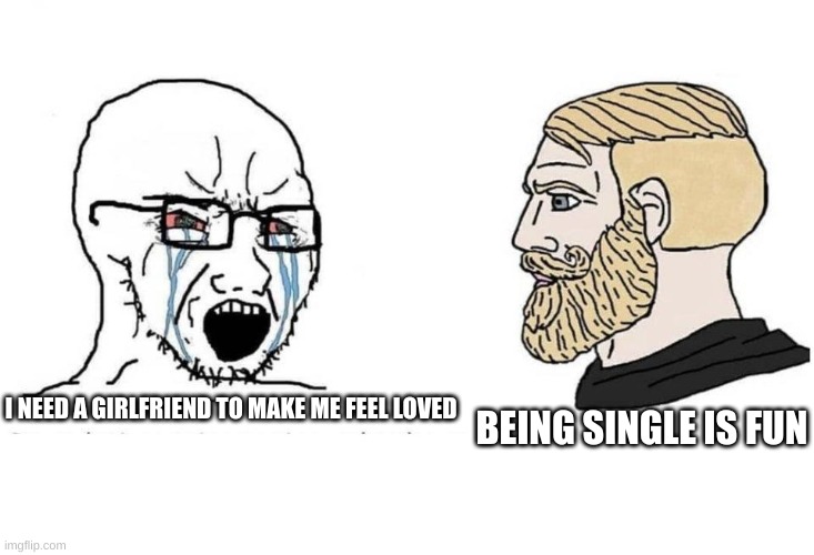 you dont gotta have a gf/bf to be happy | BEING SINGLE IS FUN; I NEED A GIRLFRIEND TO MAKE ME FEEL LOVED | image tagged in serious and chad guys | made w/ Imgflip meme maker