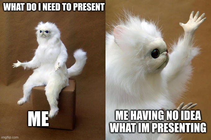 Persian Cat Room Guardian | WHAT DO I NEED TO PRESENT; ME HAVING NO IDEA WHAT IM PRESENTING; ME | image tagged in memes,persian cat room guardian | made w/ Imgflip meme maker