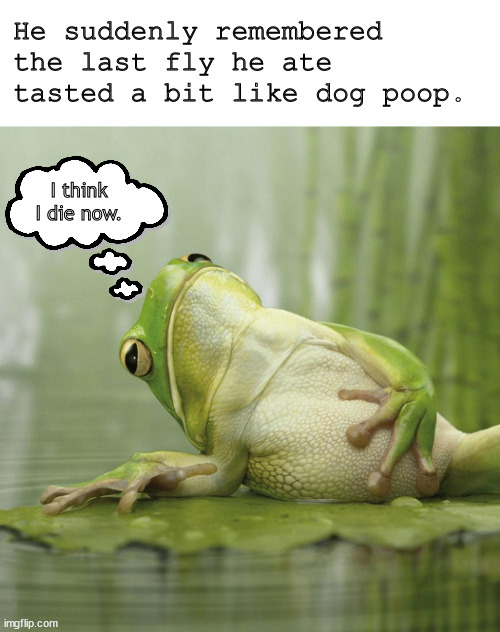 When Mr Frog ate a poopy fly and die. | He suddenly remembered the last fly he ate tasted a bit like dog poop. I think I die now. | image tagged in memes,dark humor | made w/ Imgflip meme maker