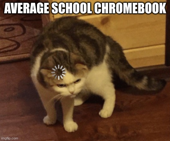 Lag Cat | AVERAGE SCHOOL CHROMEBOOK | image tagged in lag cat | made w/ Imgflip meme maker