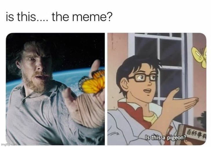 image tagged in memes,funny | made w/ Imgflip meme maker