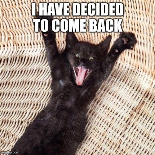 :] | I HAVE DECIDED TO COME BACK | image tagged in happy cat | made w/ Imgflip meme maker