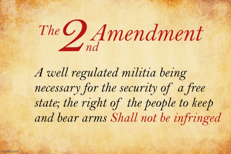 2nd amendment  | image tagged in 2nd amendment | made w/ Imgflip meme maker