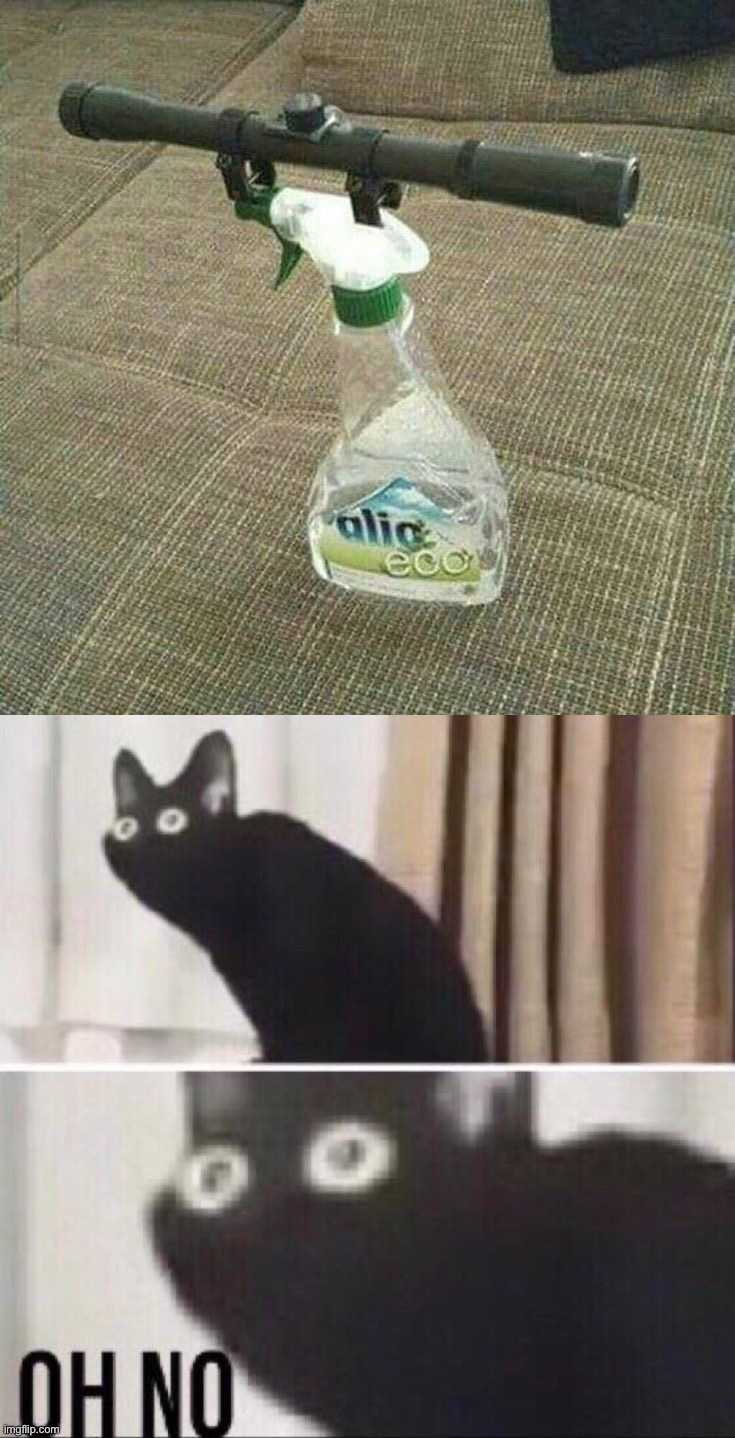 Wtf | image tagged in oh no cat,memes,funny,cursed image | made w/ Imgflip meme maker