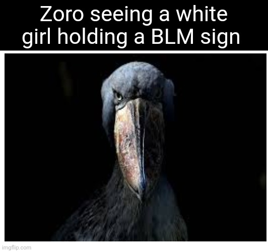Zoro | Zoro seeing a white girl holding a BLM sign | image tagged in one piece | made w/ Imgflip meme maker