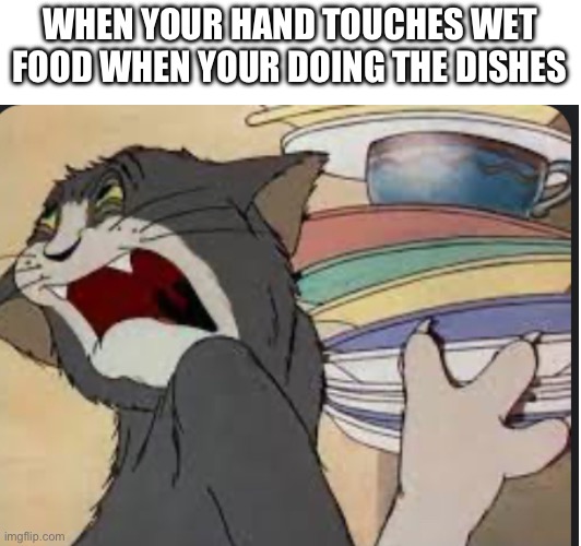 EW- | WHEN YOUR HAND TOUCHES WET FOOD WHEN YOUR DOING THE DISHES | image tagged in tom and jerry,washing dishes,relatable memes,memes | made w/ Imgflip meme maker
