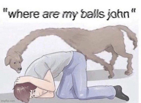 New spam meme. Put this on any meme and chain it. | image tagged in where are my balls john | made w/ Imgflip meme maker