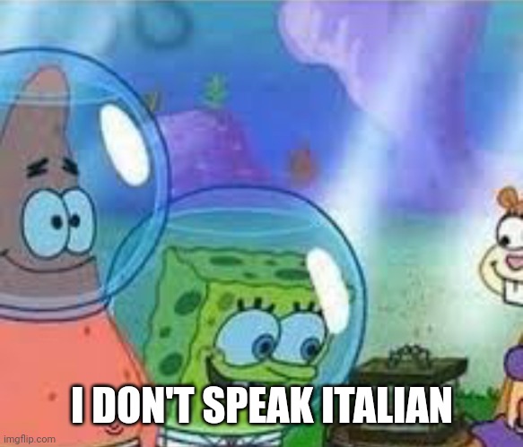 Sorry I don’t speak Italian | I DON'T SPEAK ITALIAN | image tagged in sorry i don t speak italian | made w/ Imgflip meme maker