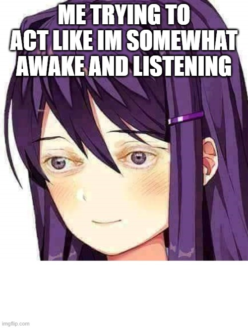 i dont wanna put a title | ME TRYING TO ACT LIKE IM SOMEWHAT AWAKE AND LISTENING | image tagged in yuri doki doki,ddlc,tired | made w/ Imgflip meme maker
