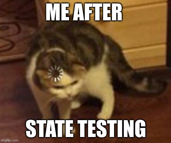 Error | ME AFTER; STATE TESTING | image tagged in loading cat,error | made w/ Imgflip meme maker