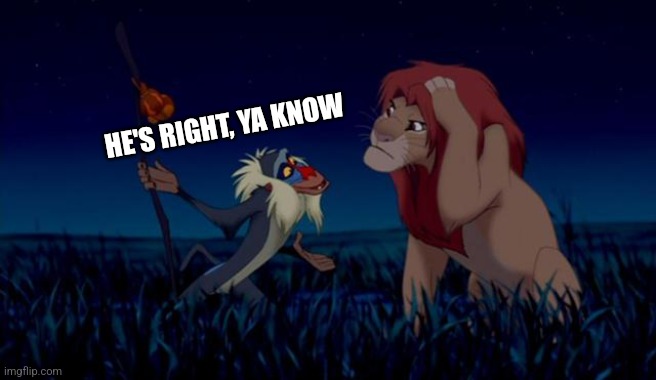 rafiki | HE'S RIGHT, YA KNOW | image tagged in rafiki | made w/ Imgflip meme maker