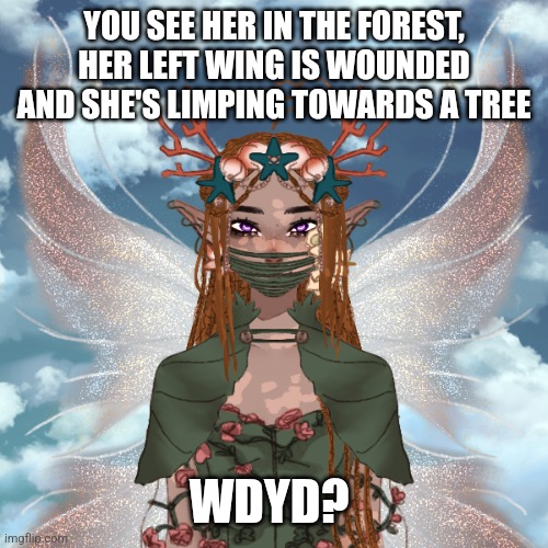 Hello | YOU SEE HER IN THE FOREST, HER LEFT WING IS WOUNDED AND SHE'S LIMPING TOWARDS A TREE; WDYD? | image tagged in no joke,romance allowed,erp in memechat | made w/ Imgflip meme maker