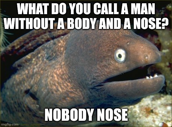 Joke #1 | WHAT DO YOU CALL A MAN WITHOUT A BODY AND A NOSE? NOBODY NOSE | image tagged in memes,bad joke eel | made w/ Imgflip meme maker