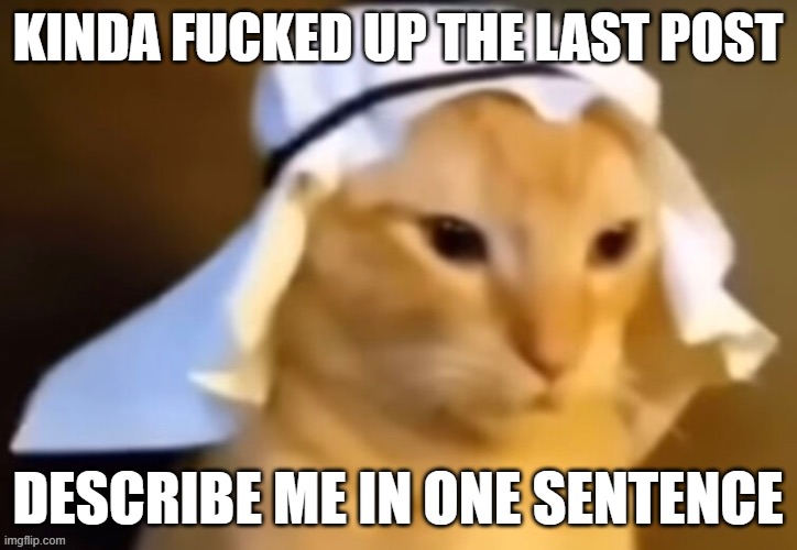haram cat | KINDA FUCKED UP THE LAST POST; DESCRIBE ME IN ONE SENTENCE | image tagged in haram cat | made w/ Imgflip meme maker