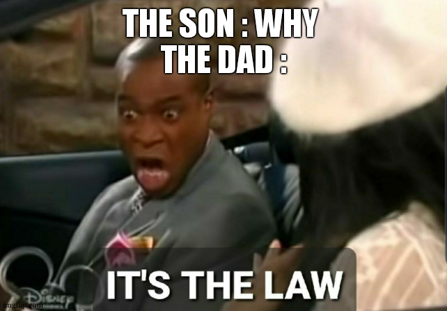 It's the law | THE SON : WHY 
THE DAD : | image tagged in it's the law | made w/ Imgflip meme maker