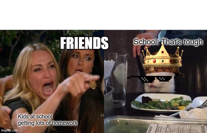 Woman Yelling At Cat | FRIENDS; School: That's tough; Kids at school getting lots of homework | image tagged in memes,woman yelling at cat | made w/ Imgflip meme maker