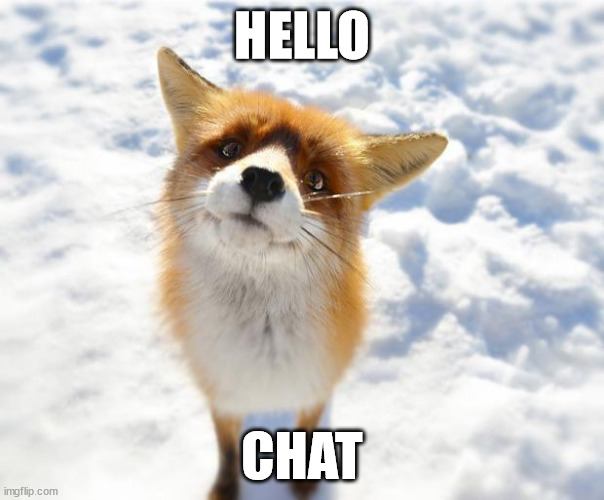 What Does The Fox Say? | HELLO; CHAT | image tagged in what does the fox say | made w/ Imgflip meme maker