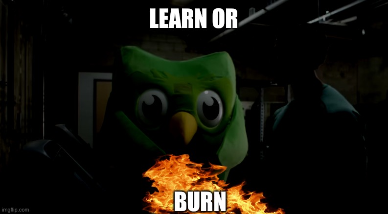 Dulingo took it to whole new level | LEARN OR; BURN | image tagged in duolingo | made w/ Imgflip meme maker