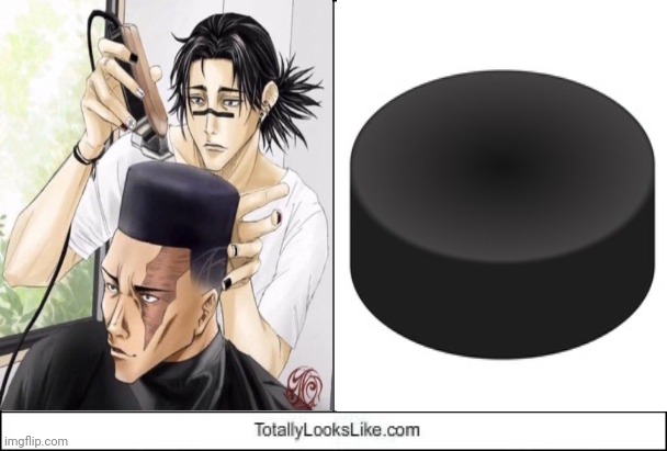 Hockey puck lookalike | image tagged in totally looks like,hockey puck,haircut,hairstyle,puck,memes | made w/ Imgflip meme maker