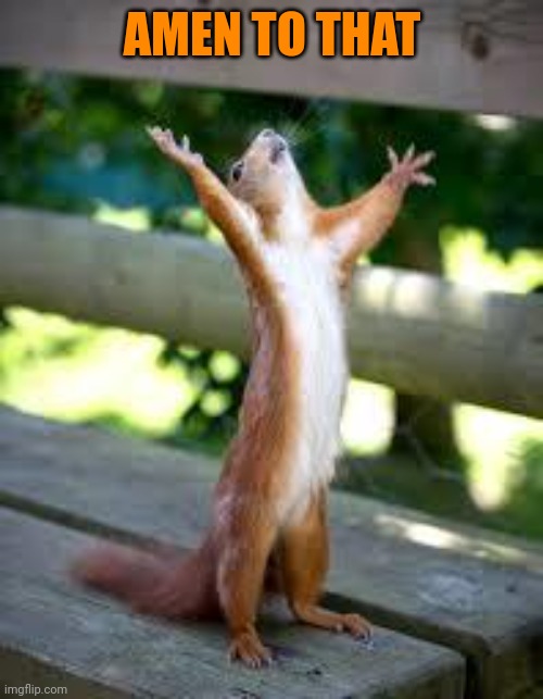 Praise Squirrel | AMEN TO THAT | image tagged in praise squirrel | made w/ Imgflip meme maker