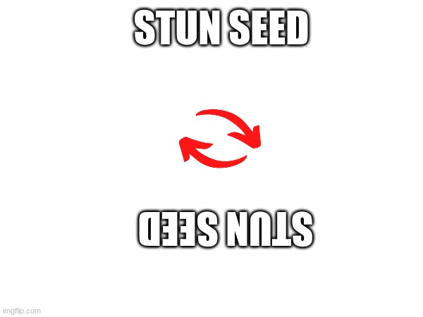 that hurts | STUN SEED; STUN SEED | image tagged in funny memes | made w/ Imgflip meme maker