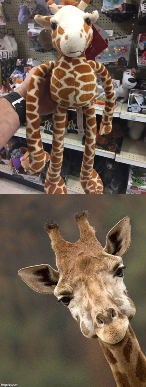 One arm being longer than the other | image tagged in giraffe face,arm,you had one job,memes,giraffes,giraffe | made w/ Imgflip meme maker