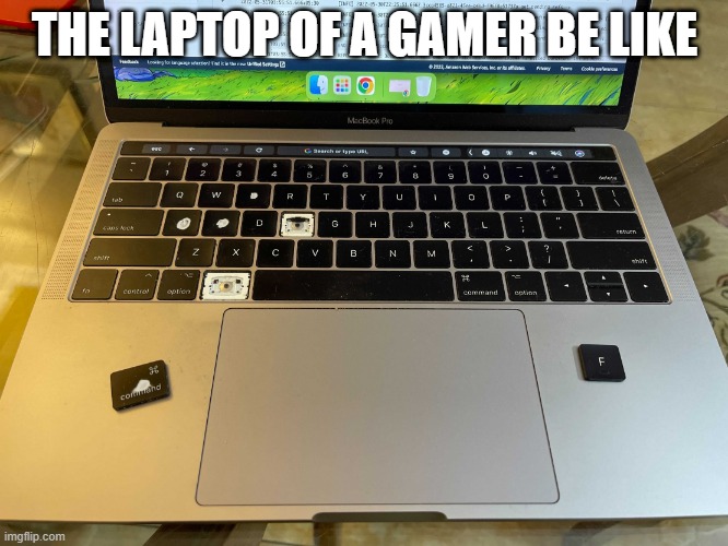 broken laptop | THE LAPTOP OF A GAMER BE LIKE | image tagged in broken laptop | made w/ Imgflip meme maker