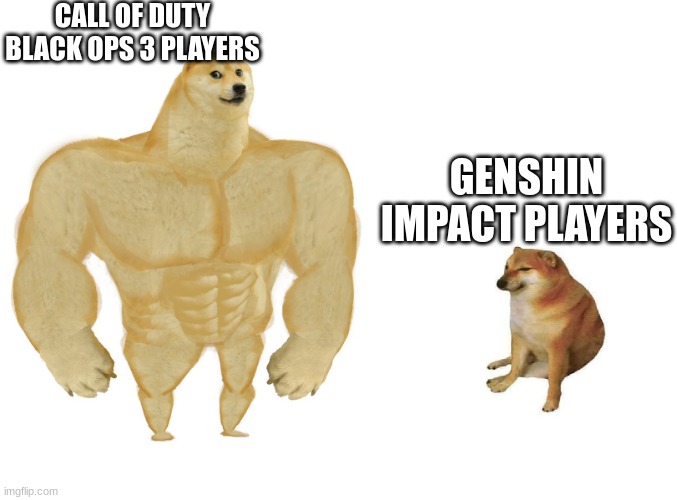 Big dog small dog | CALL OF DUTY BLACK OPS 3 PLAYERS; GENSHIN IMPACT PLAYERS | image tagged in big dog small dog | made w/ Imgflip meme maker