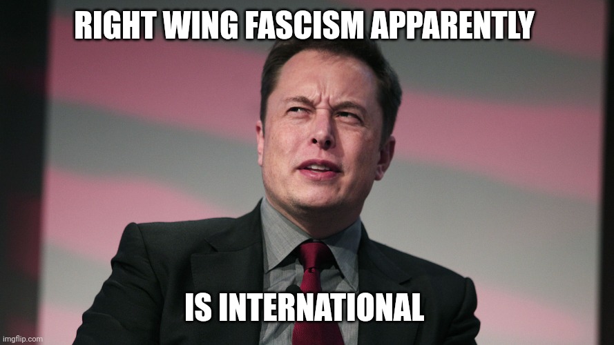 Confused Elon Musk | RIGHT WING FASCISM APPARENTLY IS INTERNATIONAL | image tagged in confused elon musk | made w/ Imgflip meme maker