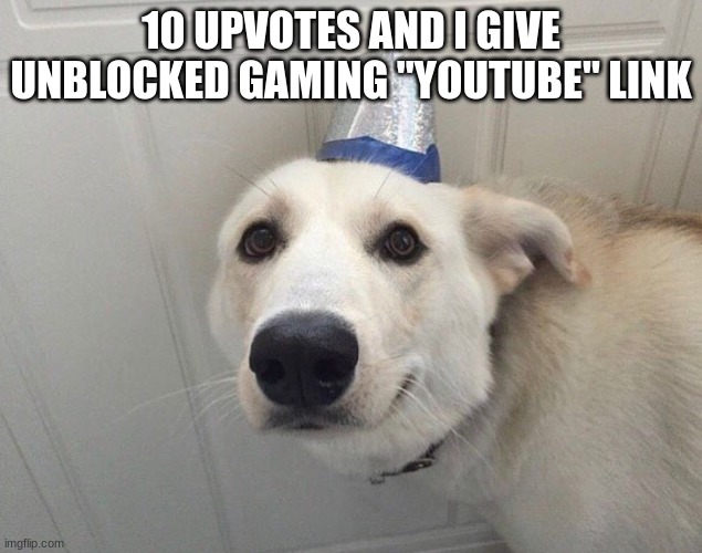 Dog Nice Hat | 10 UPVOTES AND I GIVE UNBLOCKED GAMING "YOUTUBE" LINK | image tagged in dog nice hat | made w/ Imgflip meme maker