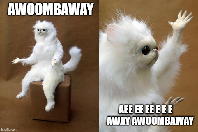Persian Cat Room Guardian | AWOOMBAWAY; AEE EE EE E E E      AWAY AWOOMBAWAY | image tagged in memes,persian cat room guardian | made w/ Imgflip meme maker