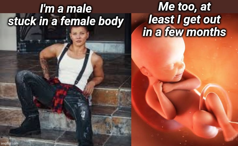 Male stuck inside | Me too, at least I get out in a few months; I'm a male stuck in a female body | image tagged in male,lesbian,baby | made w/ Imgflip meme maker