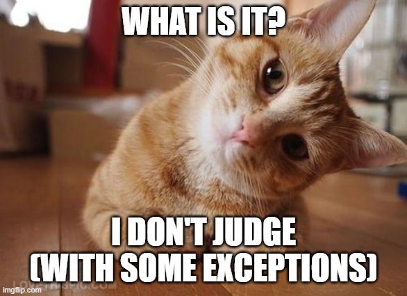 Curious Question Cat | WHAT IS IT? I DON'T JUDGE (WITH SOME EXCEPTIONS) | image tagged in curious question cat | made w/ Imgflip meme maker