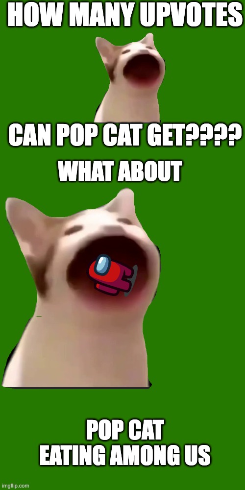 Pop cat likes upvotes | HOW MANY UPVOTES; CAN POP CAT GET???? WHAT ABOUT; POP CAT EATING AMONG US | image tagged in upvote,as you can see i am not dead | made w/ Imgflip meme maker