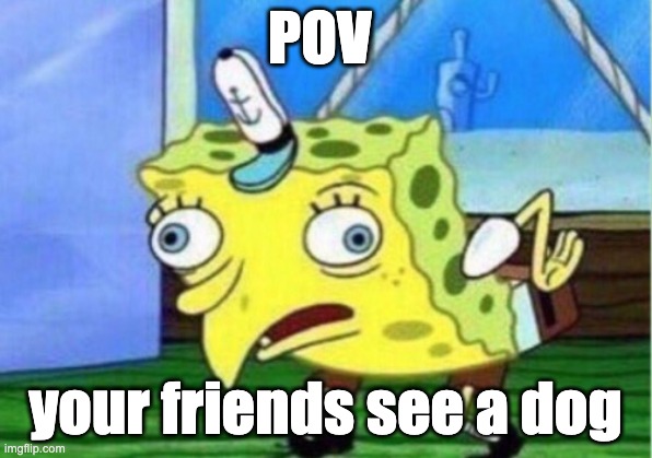 dog | POV; your friends see a dog | image tagged in memes,mocking spongebob | made w/ Imgflip meme maker