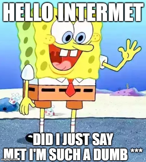 My first post | HELLO INTERMET; DID I JUST SAY MET I'M SUCH A DUMB *** | image tagged in firstpost,dogs,cat,kool aid | made w/ Imgflip meme maker