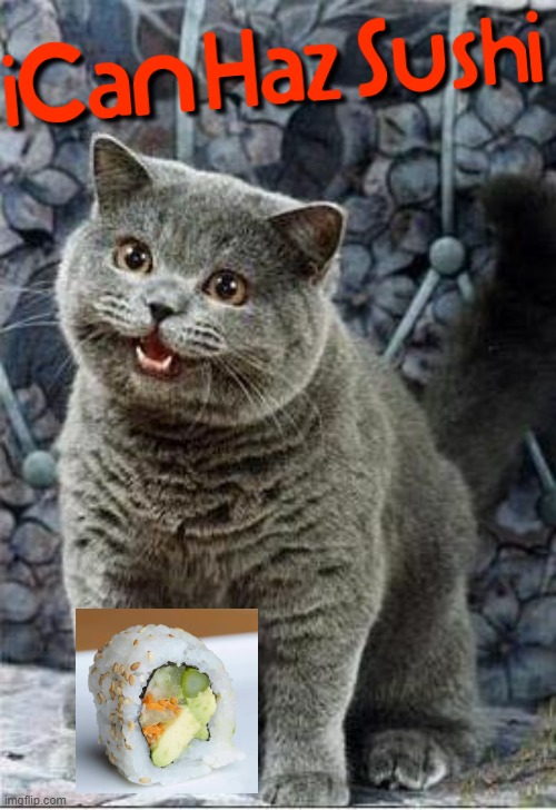 I can has sushi cat | image tagged in i can has cheezburger cat,memes,sushi,cats,dank memes,funny cats | made w/ Imgflip meme maker