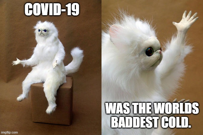 A Bad Cold | COVID-19; WAS THE WORLDS BADDEST COLD. | image tagged in memes,persian cat room guardian | made w/ Imgflip meme maker
