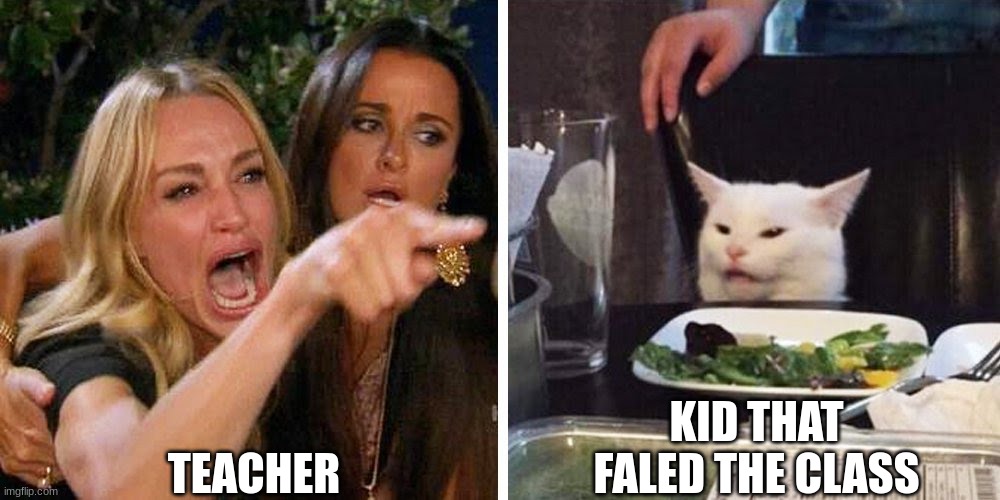 poor kid | TEACHER; KID THAT FALED THE CLASS | image tagged in smudge the cat | made w/ Imgflip meme maker