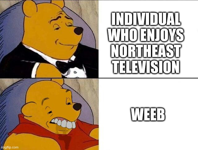 A clever title | INDIVIDUAL WHO ENJOYS NORTHEAST TELEVISION; WEEB | image tagged in tuxedo winnie the pooh grossed reverse,memes,funny | made w/ Imgflip meme maker