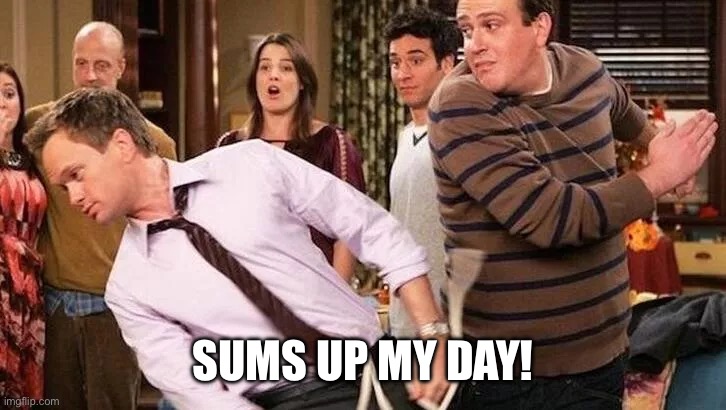 SUMS UP MY DAY! | image tagged in himym | made w/ Imgflip meme maker