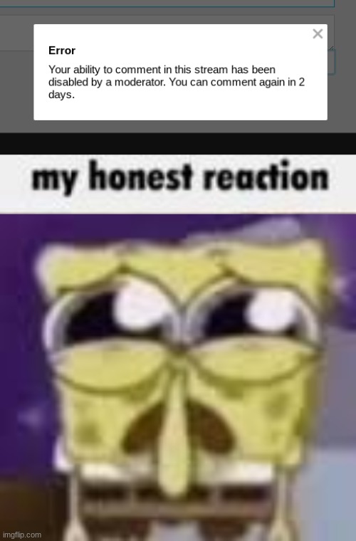 im zorry s*te mods | image tagged in my honest reaction,spunchbop all sad n shit | made w/ Imgflip meme maker