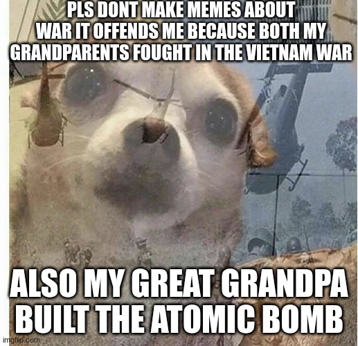 PTSD Chihuahua | PLS DONT MAKE MEMES ABOUT WAR IT OFFENDS ME BECAUSE BOTH MY GRANDPARENTS FOUGHT IN THE VIETNAM WAR; ALSO MY GREAT GRANDPA BUILT THE ATOMIC BOMB | image tagged in ptsd chihuahua | made w/ Imgflip meme maker