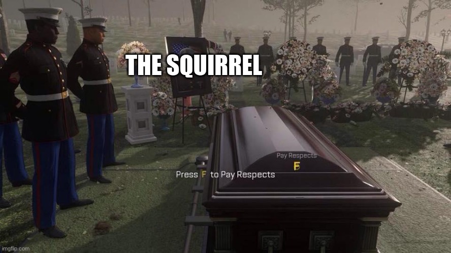 Press F to Pay Respects | THE SQUIRREL | image tagged in press f to pay respects | made w/ Imgflip meme maker