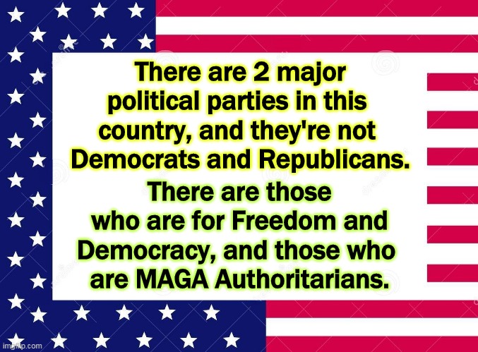 They don't like democracy, they don't like elections, they don't like other Americans and they sure don't like America. | There are 2 major political parties in this 
country, and they're not 
Democrats and Republicans. There are those who are for Freedom and Democracy, and those who 
are MAGA Authoritarians. | image tagged in democrats,republicans,freedom,democracy,maga,authoritarians | made w/ Imgflip meme maker